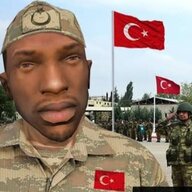qzzn