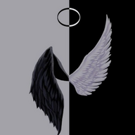 Tarkan61