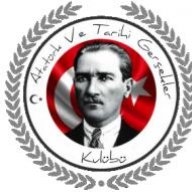 kral5161