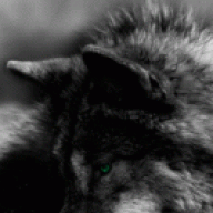 Re-Design