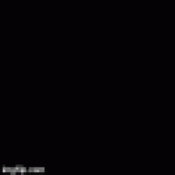 qasi343
