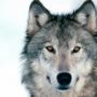 GRAYWOLFTR