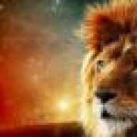 Lion1453