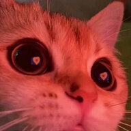ucansumaymunu
