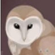 Barn owl