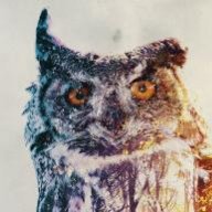 CoderOwl