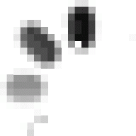 Bukaleman