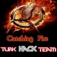 Catching Fire