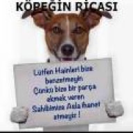 ekrem bora