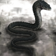 basilisk008