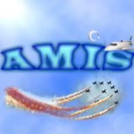 Amis