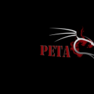 Petaflop