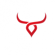 bull37