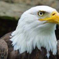 EagleTrip