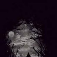 Alone Dark 11