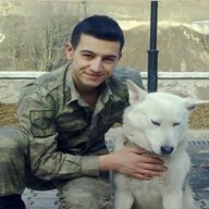 Arslan'