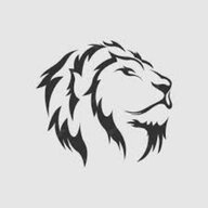 Lionsoft35