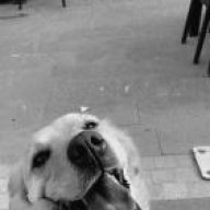 Rozny