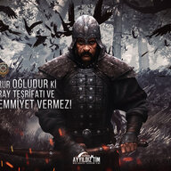 attila353