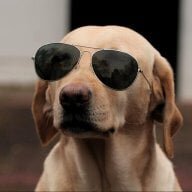 hashdog_me
