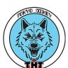 Tokyo_Dikey