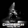 CedkanBarlas