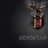 LeadSoldier13