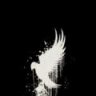 ShadowOfMaster
