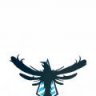 bluehajck