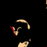 Qosmio