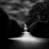 DarkGarden