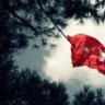 yldzfatih