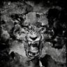 Tigon