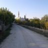 bellashe