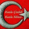 55vatann