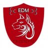 edizstep72