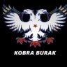 Turkish Power
