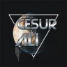 cesurali133