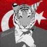 Turkish Samurai