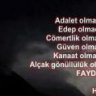 omerf255