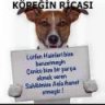 ekrem bora