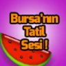 MertEgilmez