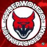 CyberWolf70