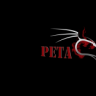 Petaflop