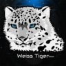 weiss tiger