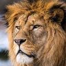 coldplus