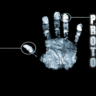protoogones