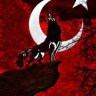 Yazilimci 21