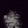 Alone Dark 11