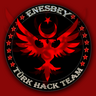 enesbey2366